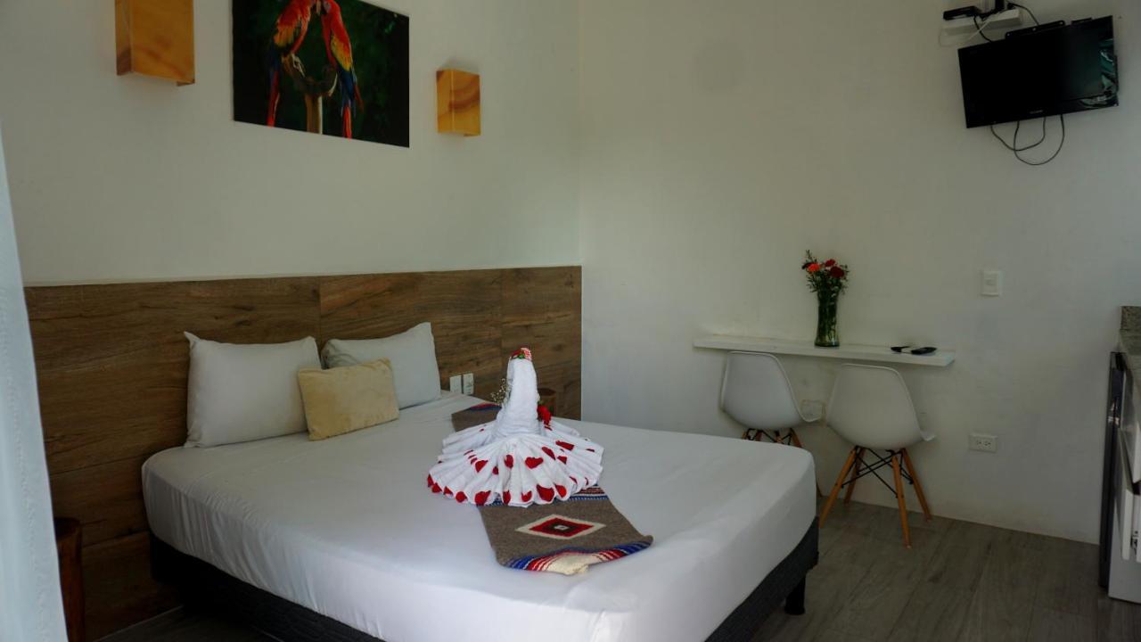 Selva Y Mar Apart Hotel Playa del Carmen Exteriér fotografie
