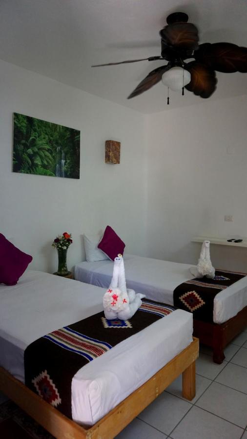 Selva Y Mar Apart Hotel Playa del Carmen Exteriér fotografie