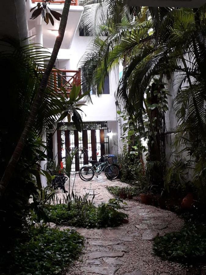 Selva Y Mar Apart Hotel Playa del Carmen Exteriér fotografie